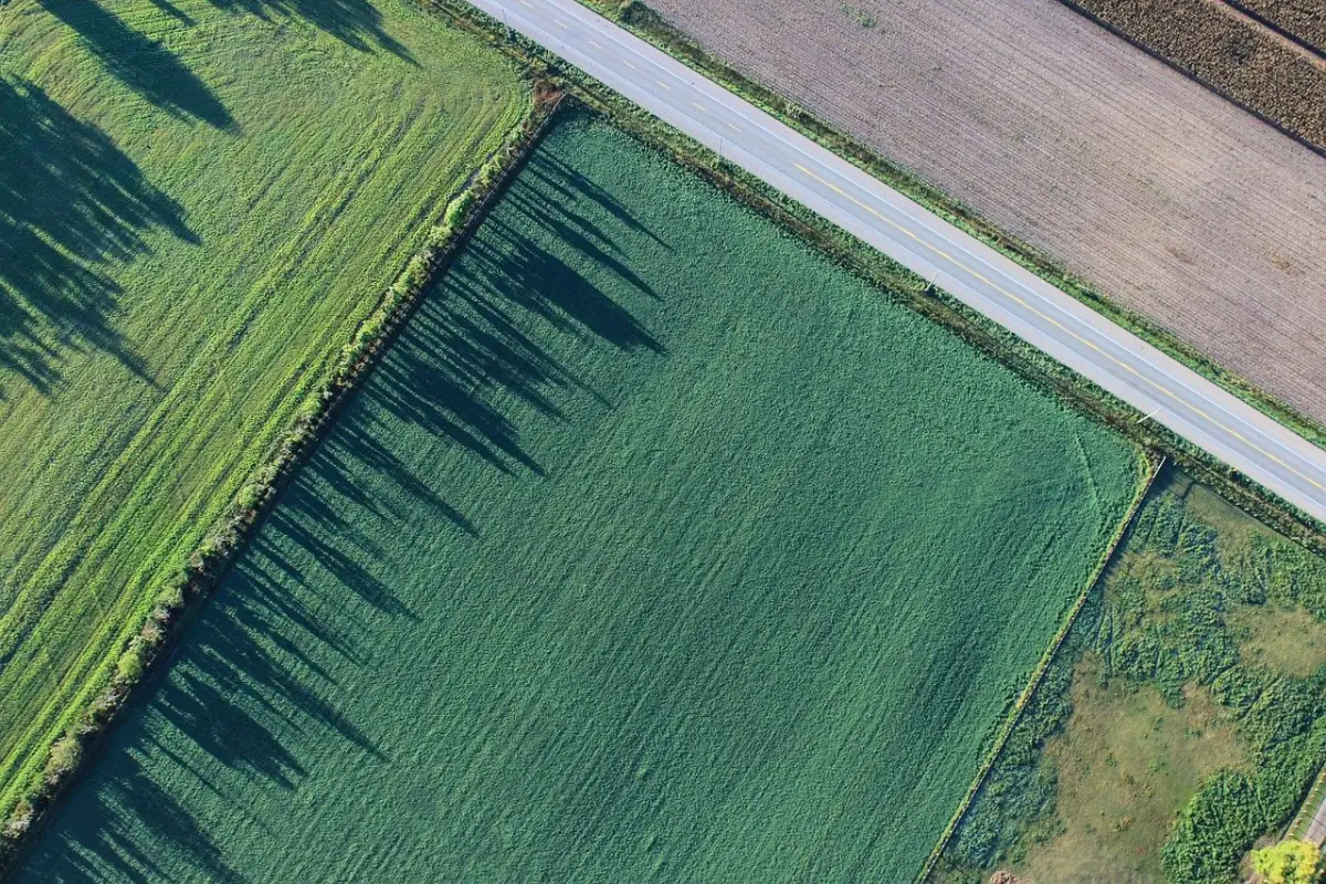 An aerial view of a field beside a road, before development