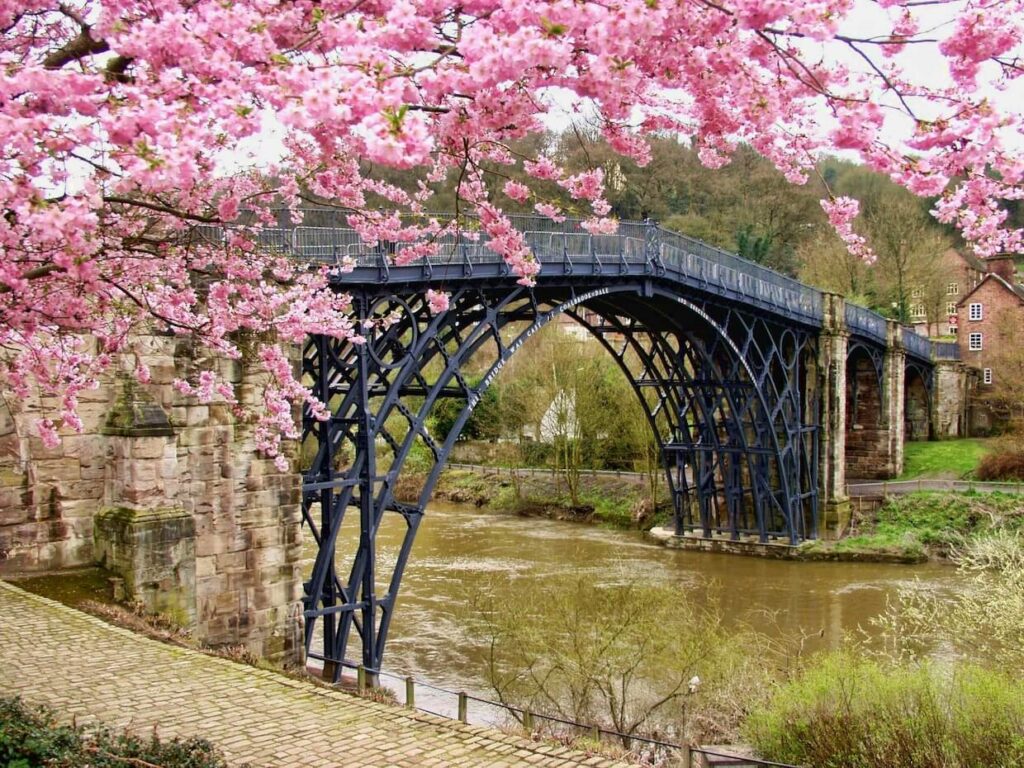bridge with cherry blossoms in fore ground